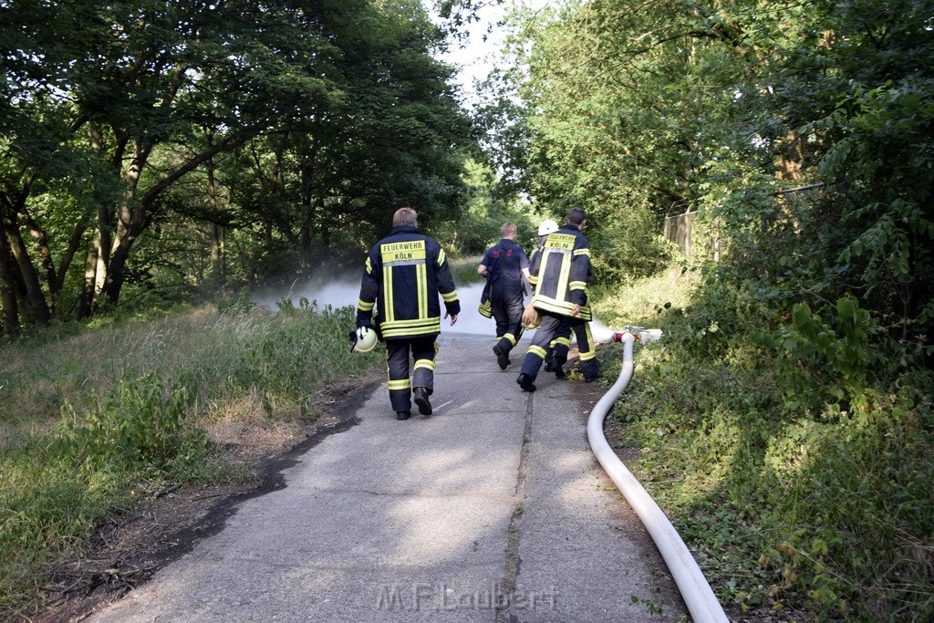 Waldbrand Koeln Hoehenhaus Hoehenfelder Mauspfad P025.JPG - Miklos Laubert